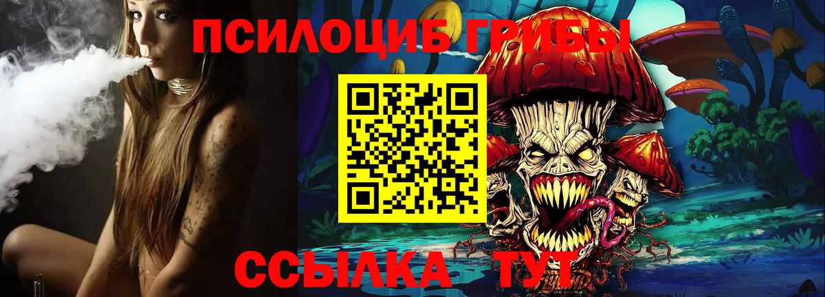 Псилоцибиновые грибы GOLDEN TEACHER Славянск-на-Кубани